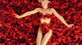 American Beauty (Original Motion Picture Score)专辑