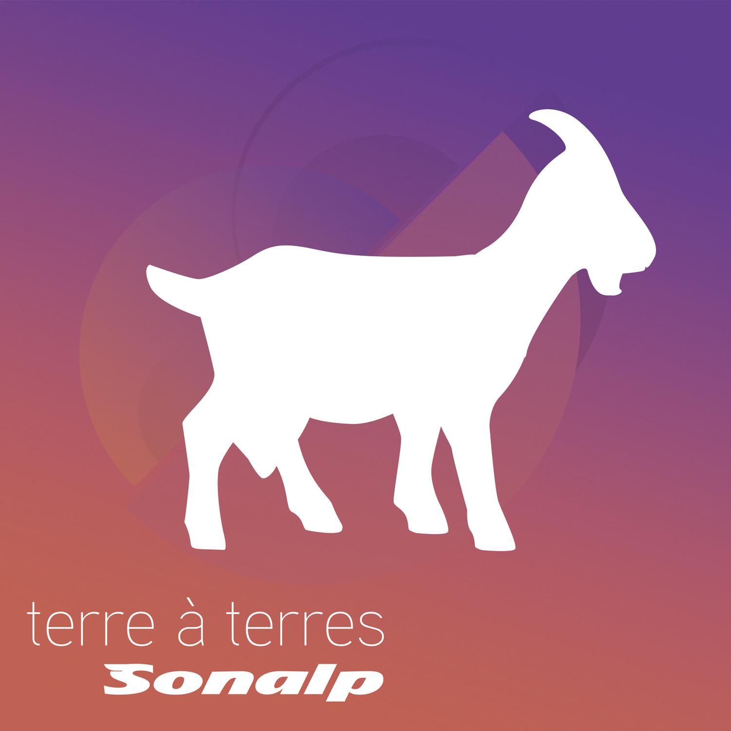 Terre à terres