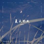 夏天的风