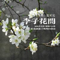 张可儿 - 李子花开(原版立体声伴奏)