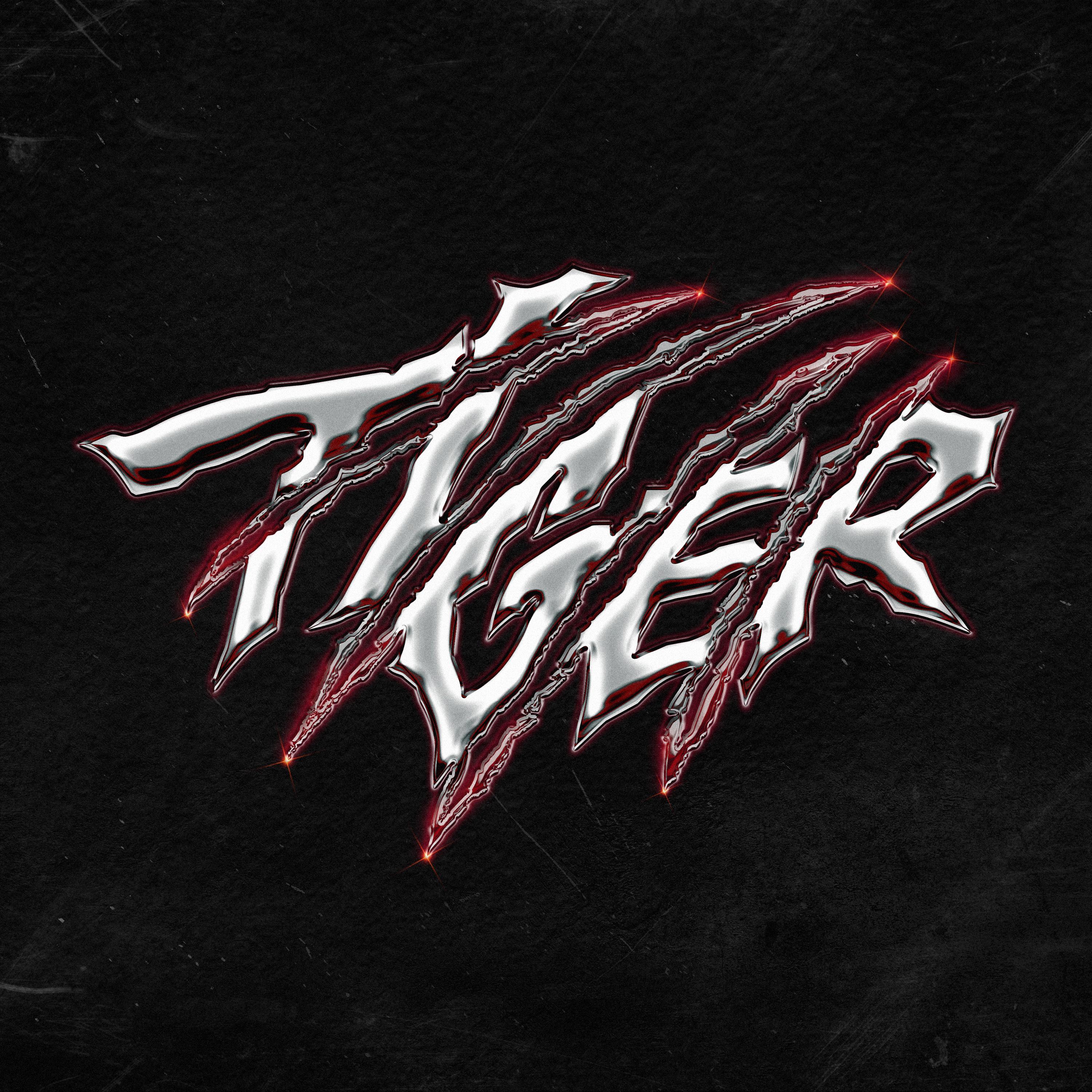 THE BOYZ Special Unit Digital Single [Tiger]