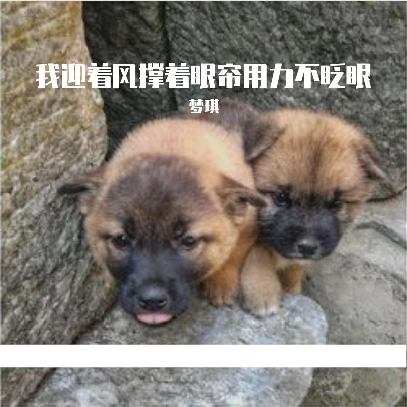 我迎着风撑着眼帘用力不眨眼
