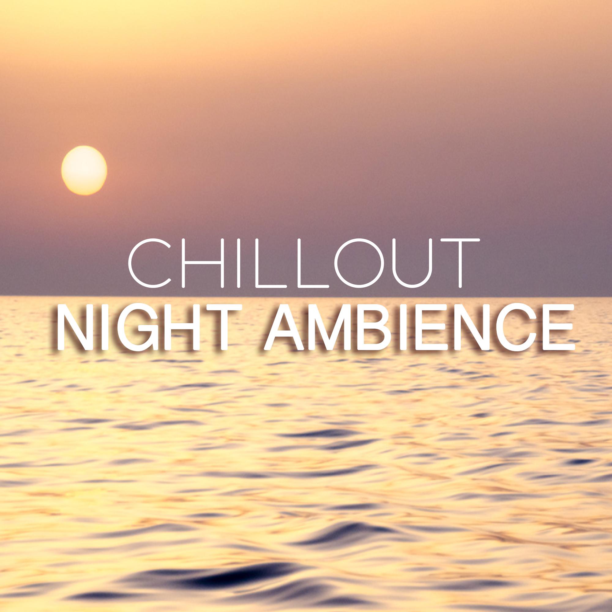 Night Ambience