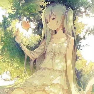 缘于樱