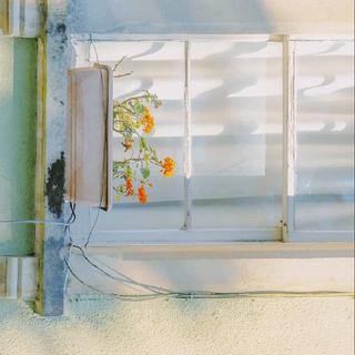 欧美清新民谣｜让轻快的音符跳跃在阳光下