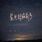 星光就在前方专辑