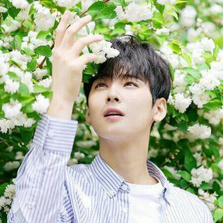 『韩语』昙花一现★未被发掘的宝藏