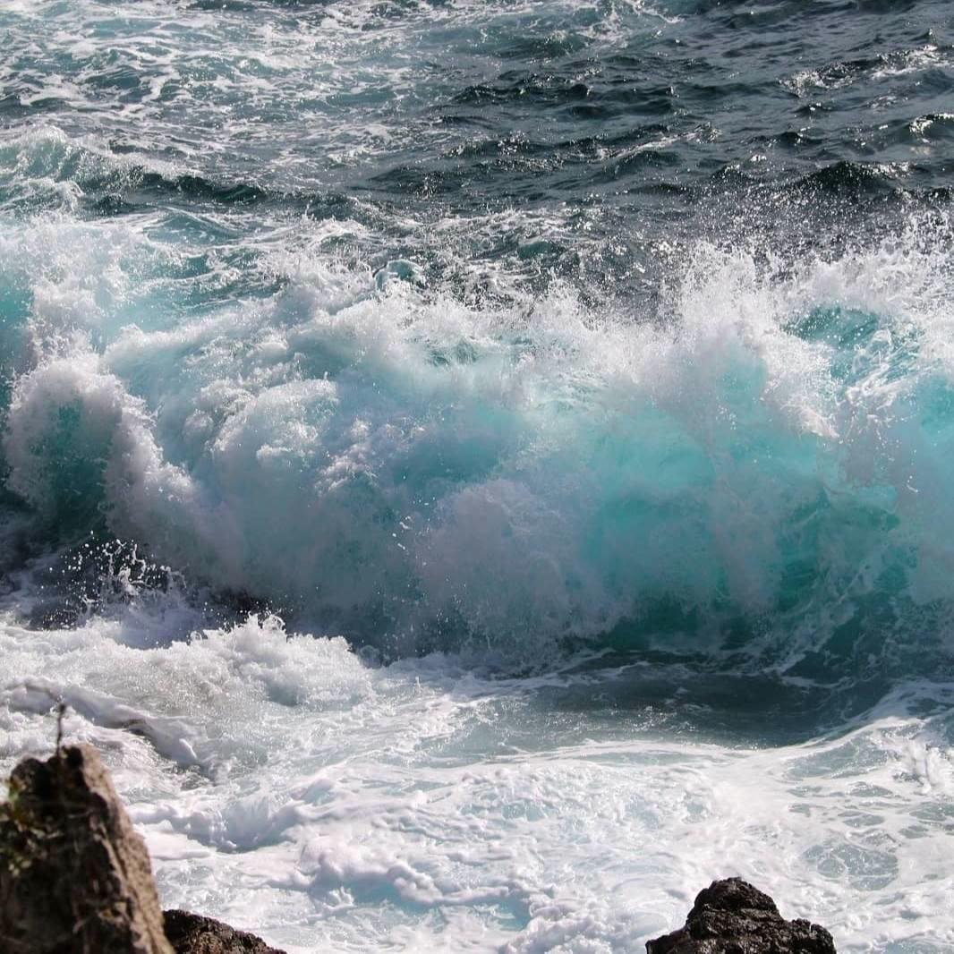 Hoaprox-洪荒之力(Eal7 NS / DruGTRaffickerS / BLACK DUBLISS remix)