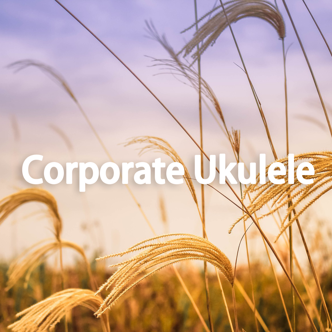 Corporate Ukulele专辑