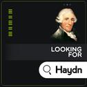 Looking for Haydn