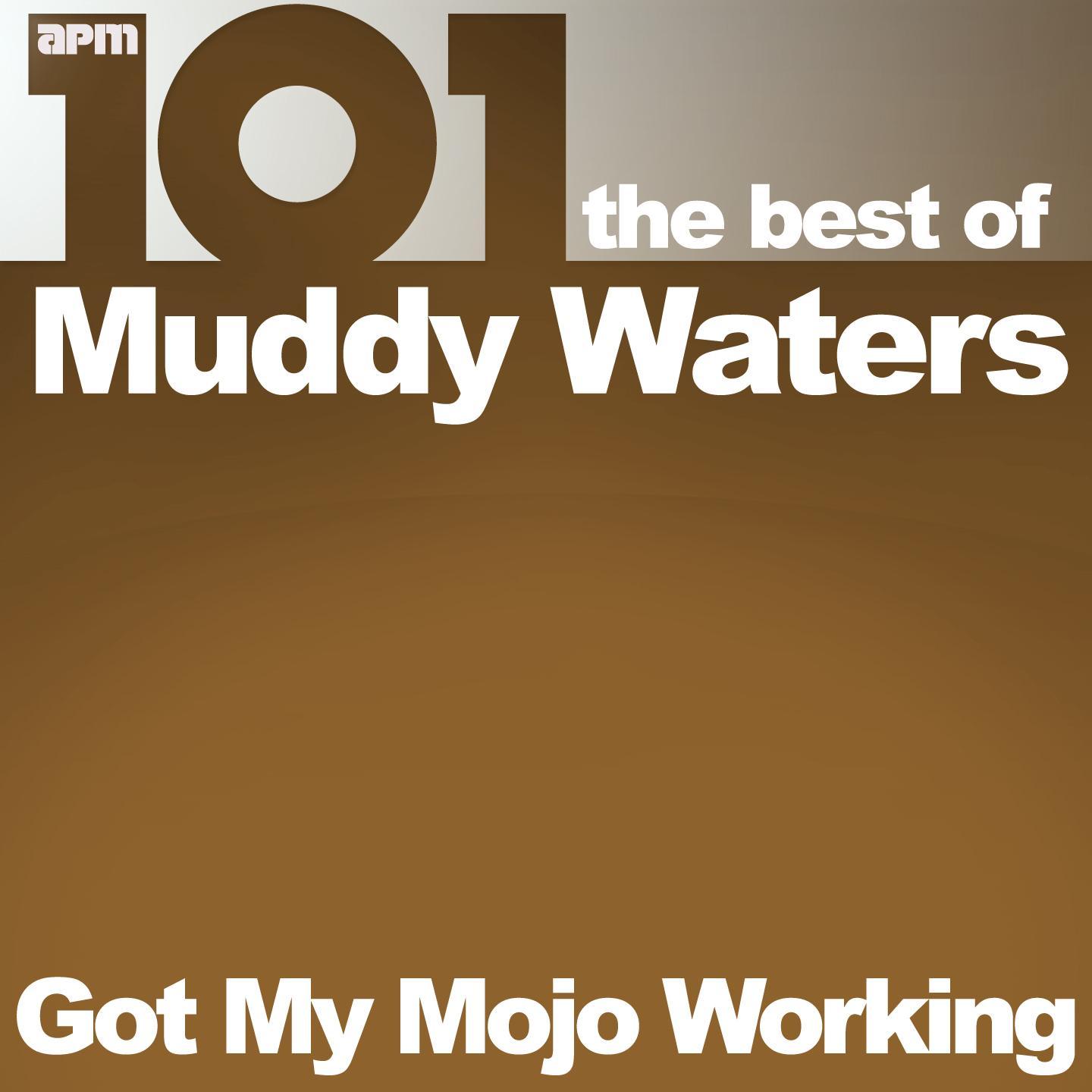 101 - Got My Mojo Working - The Best of Muddy Waters