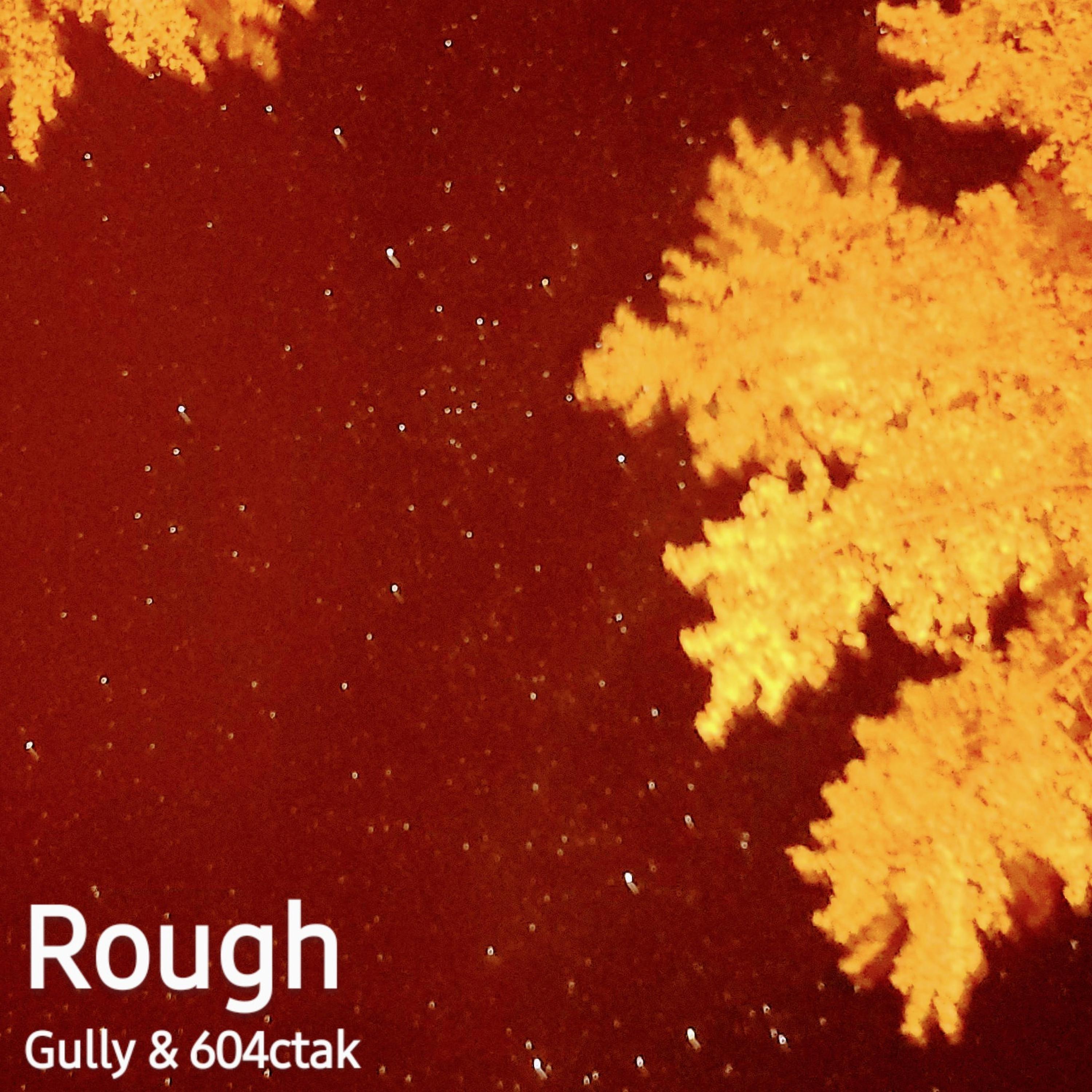 Rough (feat. 604Ctak)