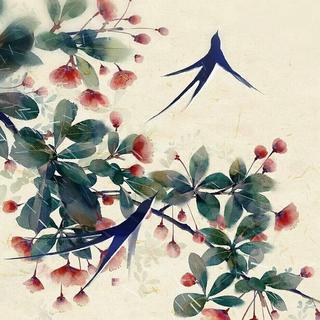 「以花为名，寄调管弦」