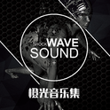 橙光音乐集·SHOCKWAVESOUND篇5专辑