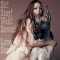 Sit! Stay! Wait! Down!/Love Story