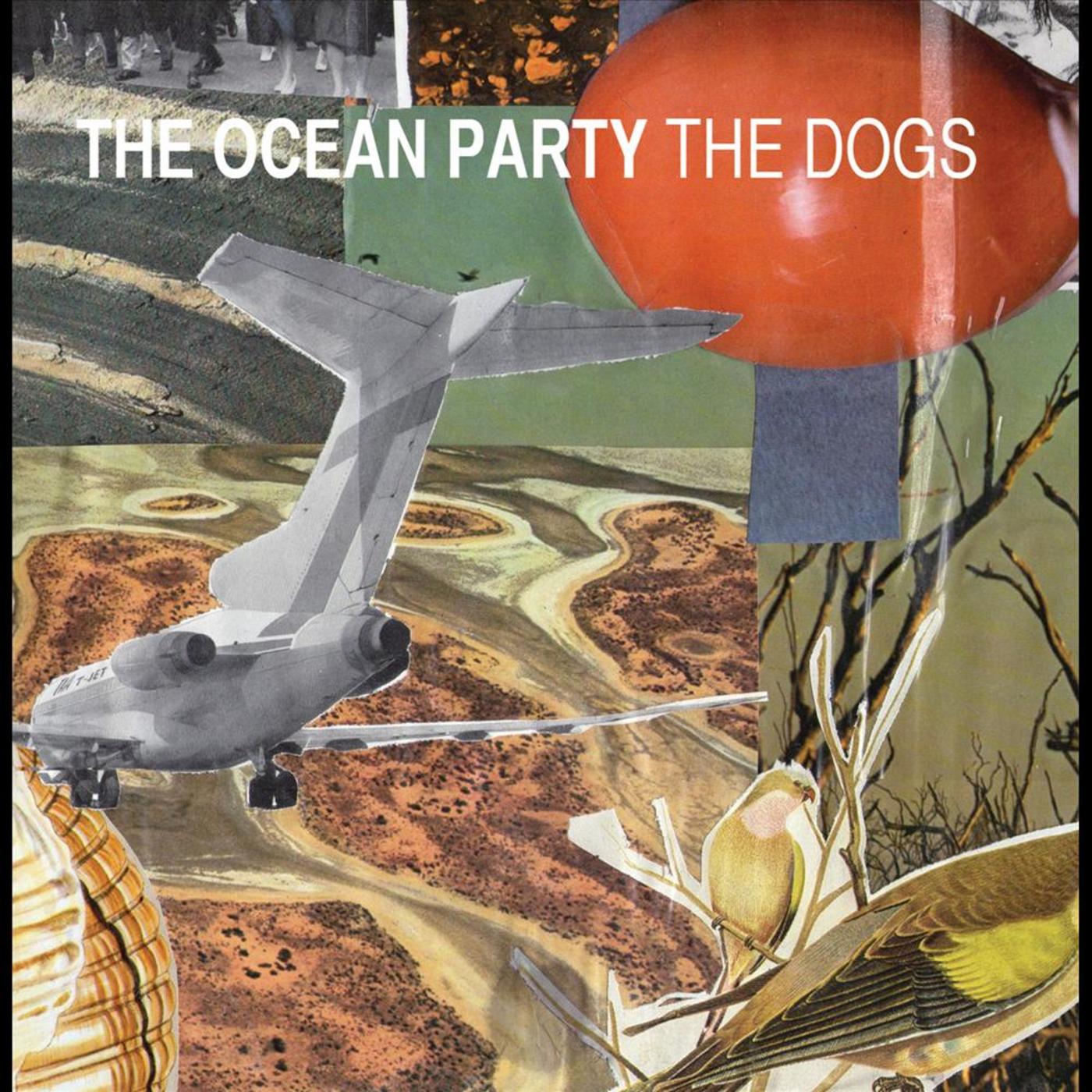 The Dogs