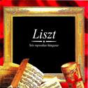 Liszt, Seis rapsodias húngaras专辑