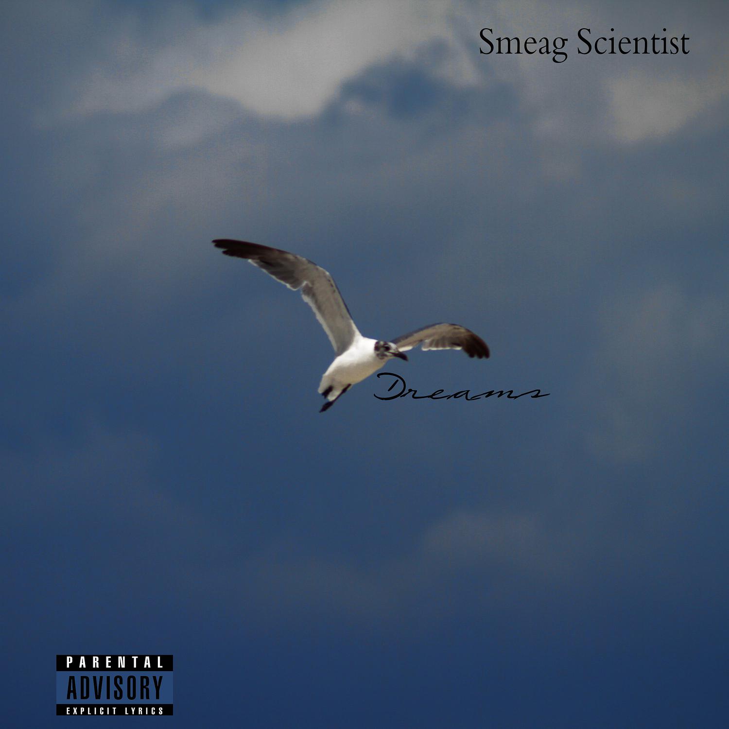 Smeag Scientist - One Day at a Time