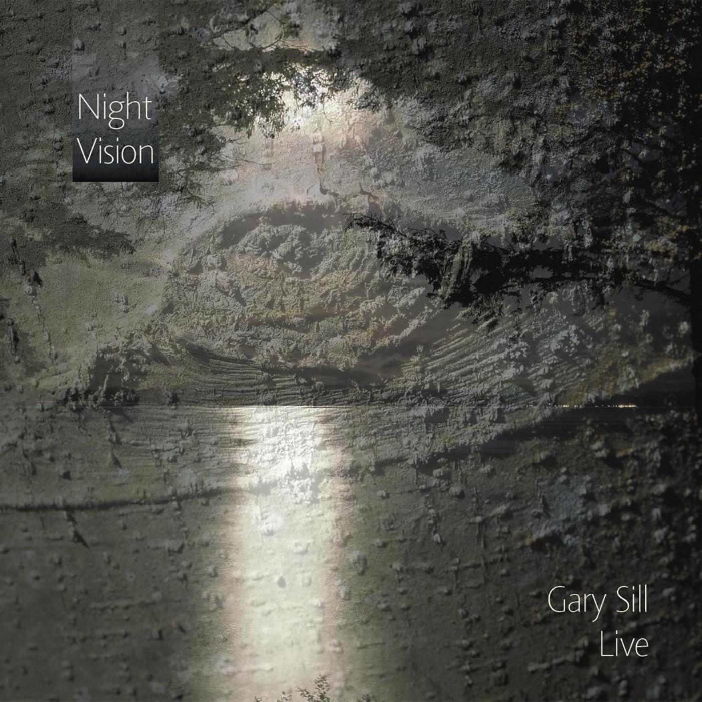 Night Vision | Gary Sill Live