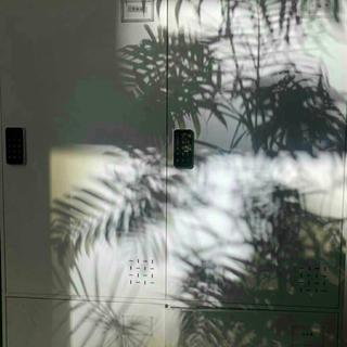 极简钢琴｜消散的时光