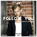 Follow You（Avicii Unreleased ID Remake）专辑