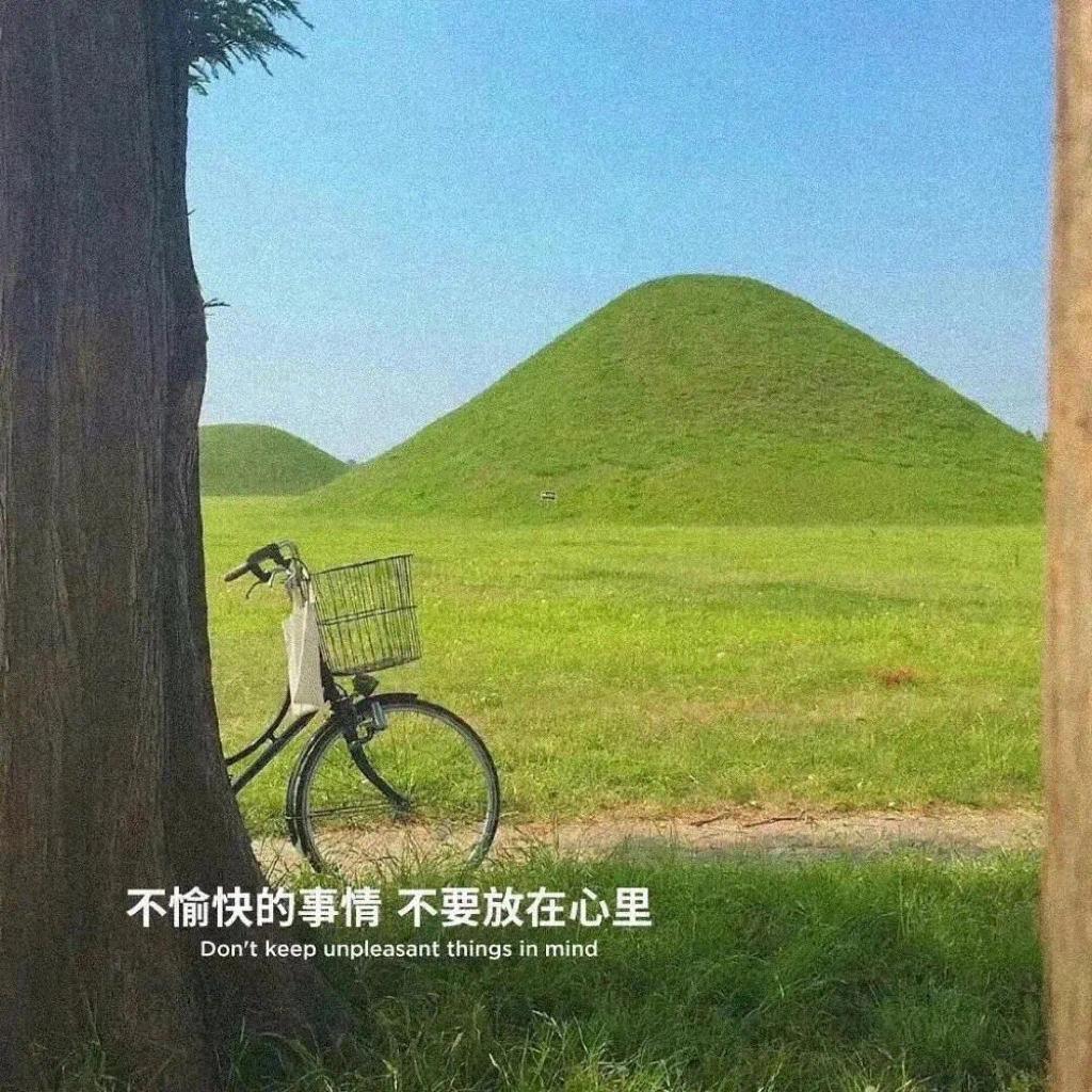 万事胜意呀:)