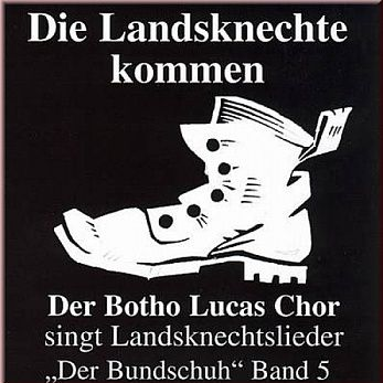 Wildgaense rauschen durch die Nacht