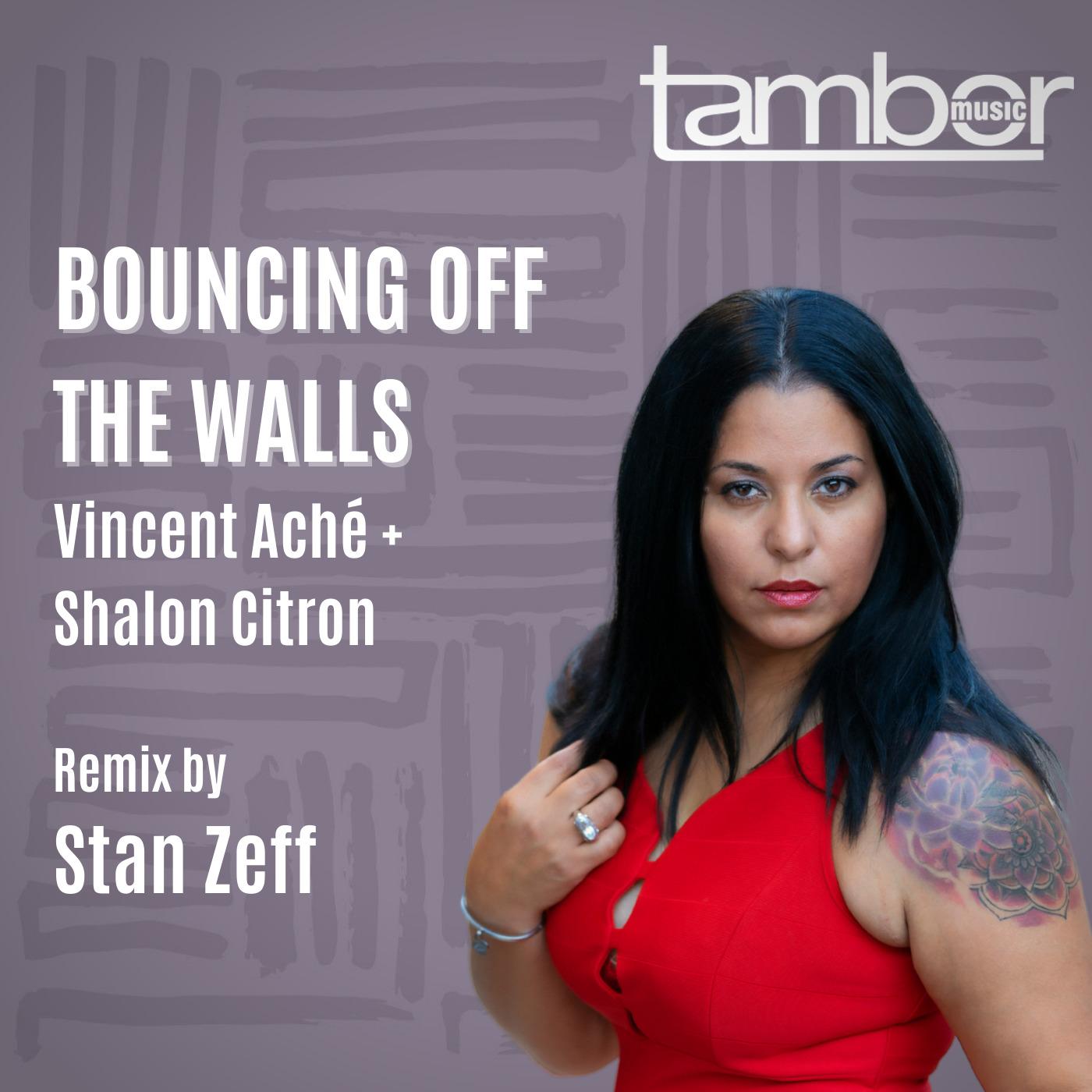 Bouncing Off The Walls (Stan Zeff Remix)