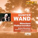 BRUCKNER, A.: Symphony No. 6 (ed. L. Nowak) (Munich Philharmonic, Wand) (Munich Philharmonic Edition专辑