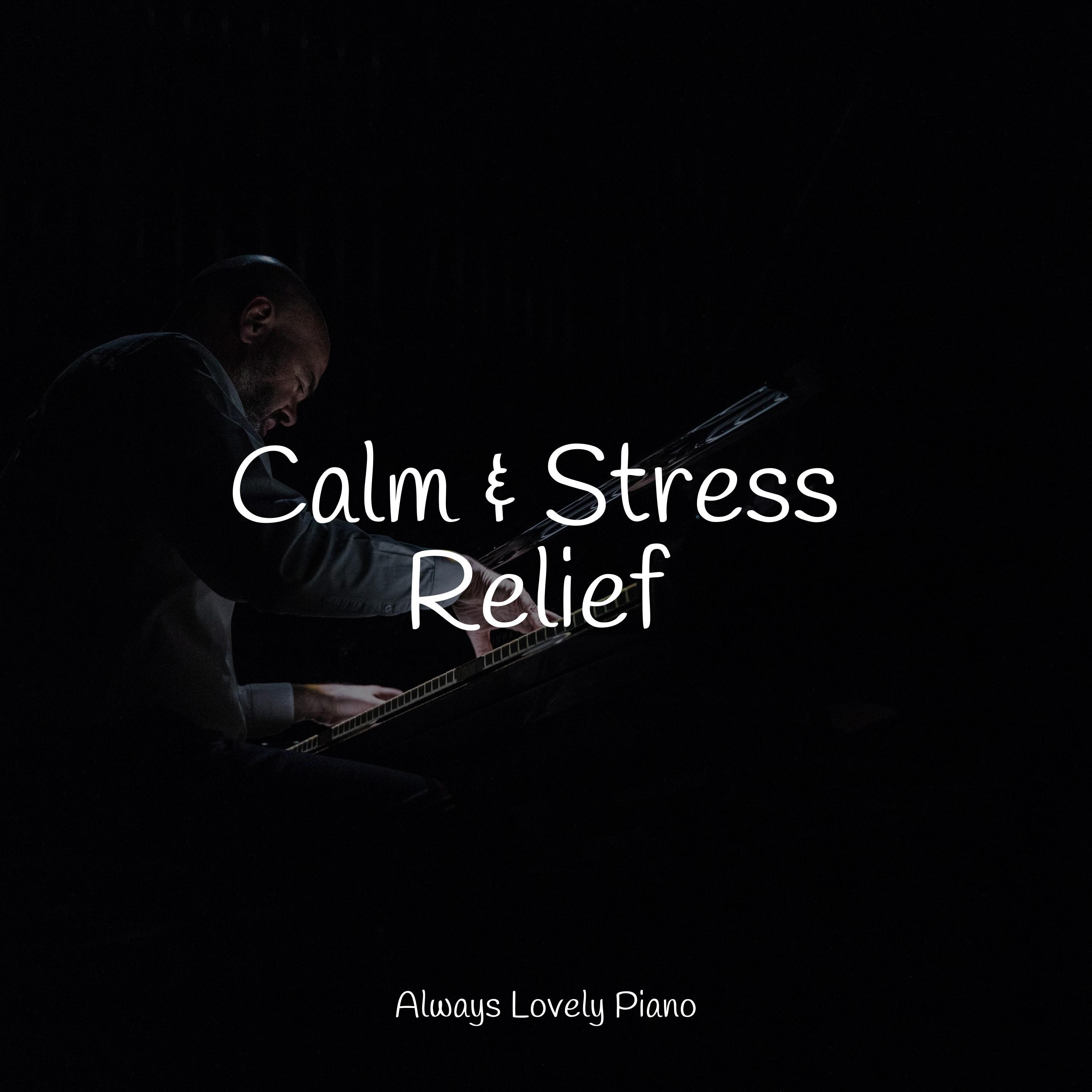Chillout Lounge Piano - Gathering Lavender Buds