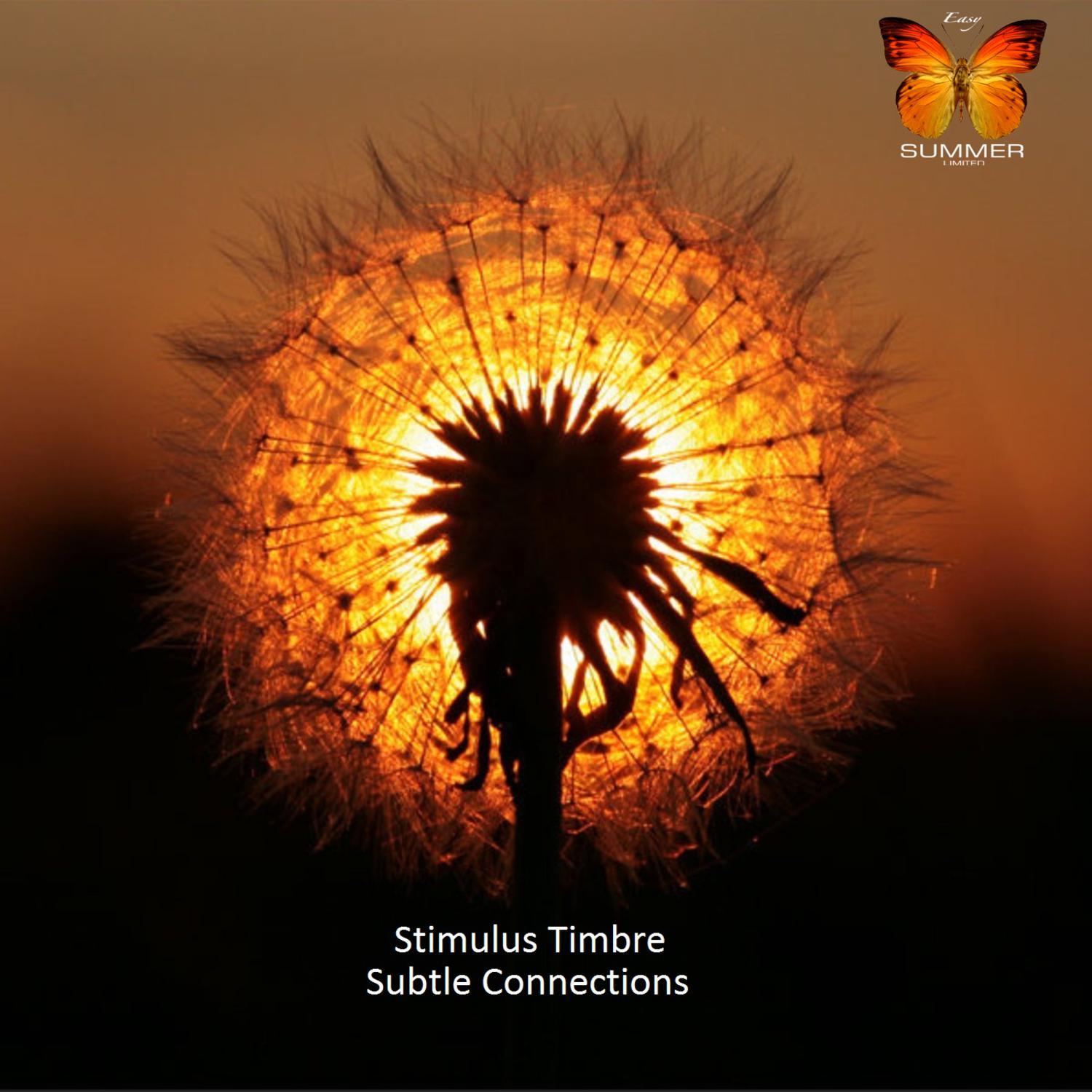 Subtle Connection