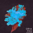 YDU (Pluto Remix)