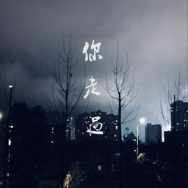 你走过专辑