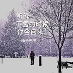 听说下雪的时候你会回来专辑