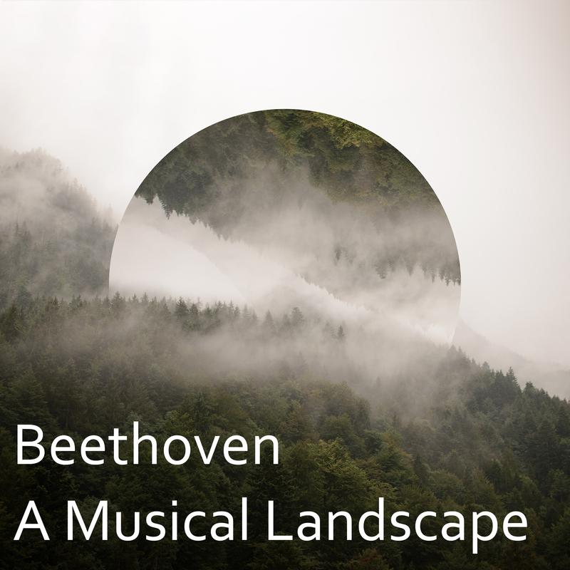 Beethoven: A Musical Landscape