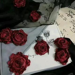 宿敌就是宿敌啊宿敌是不能变成妻子的