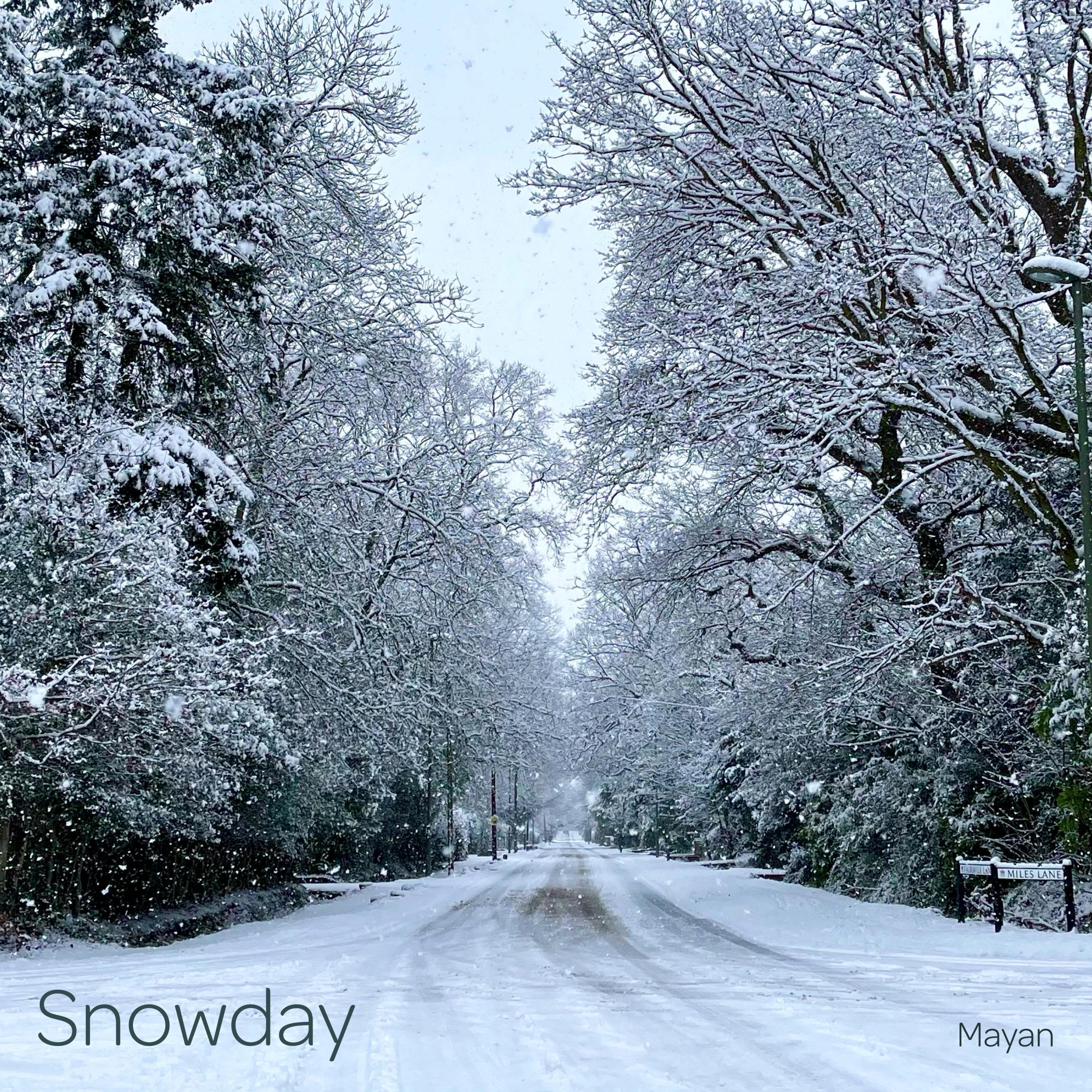 Snowday