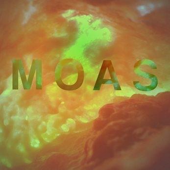 The Moas