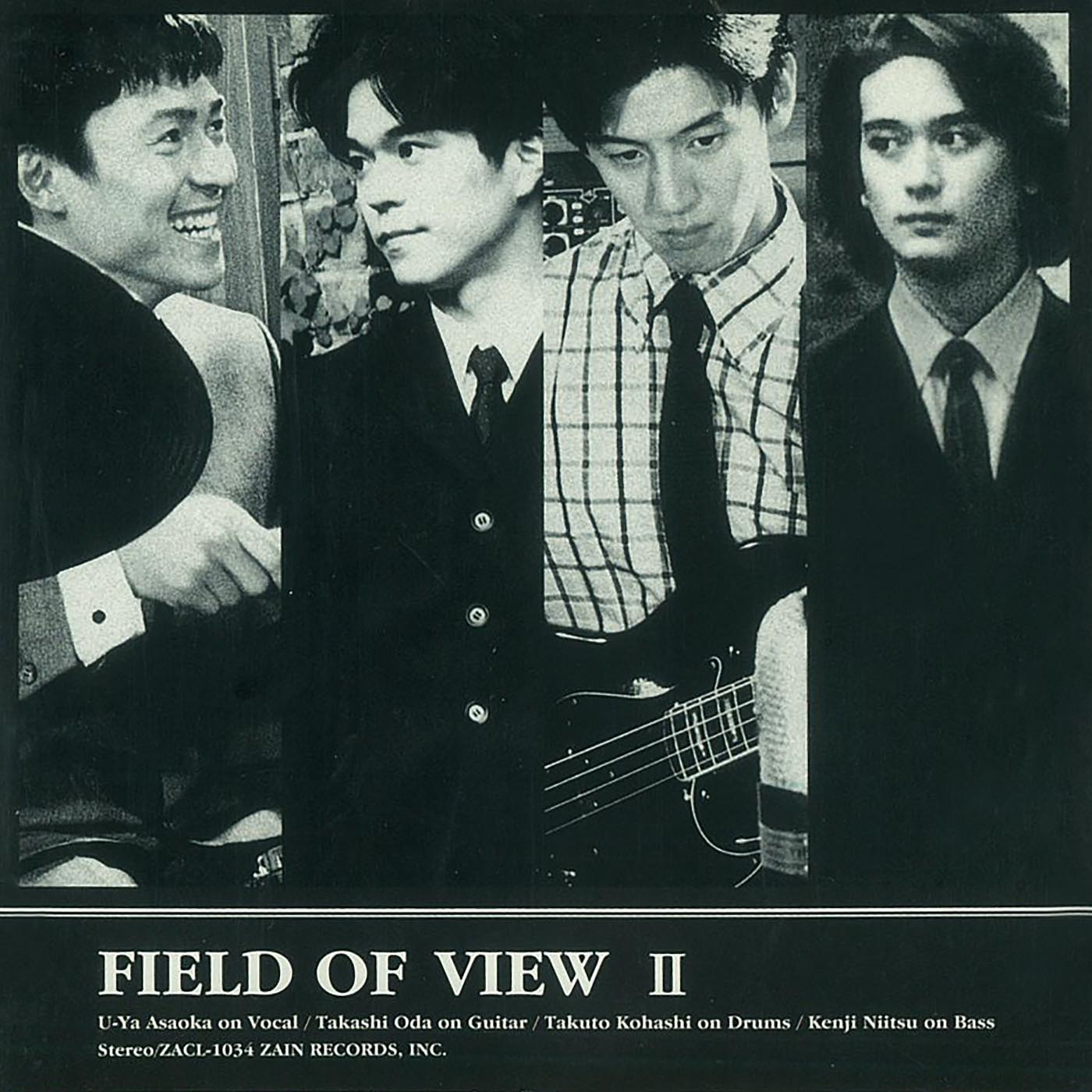 FIELD OF VIEW II