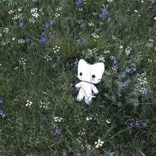 回忆似锈青色湖：在旋律里泛起涟漪