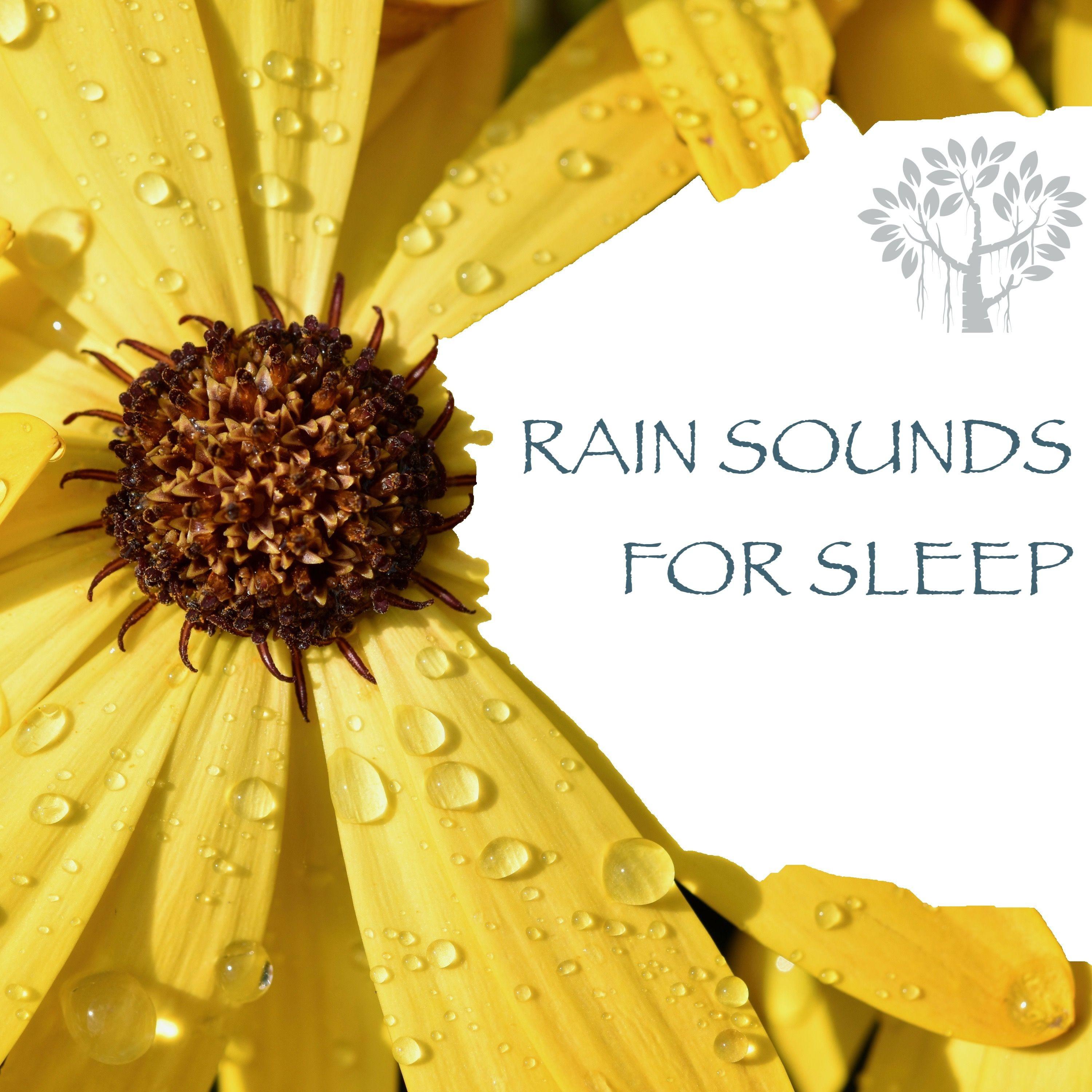 Rain Sounds for Sleep