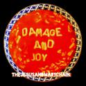 Damage and Joy专辑