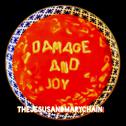 Damage and Joy专辑