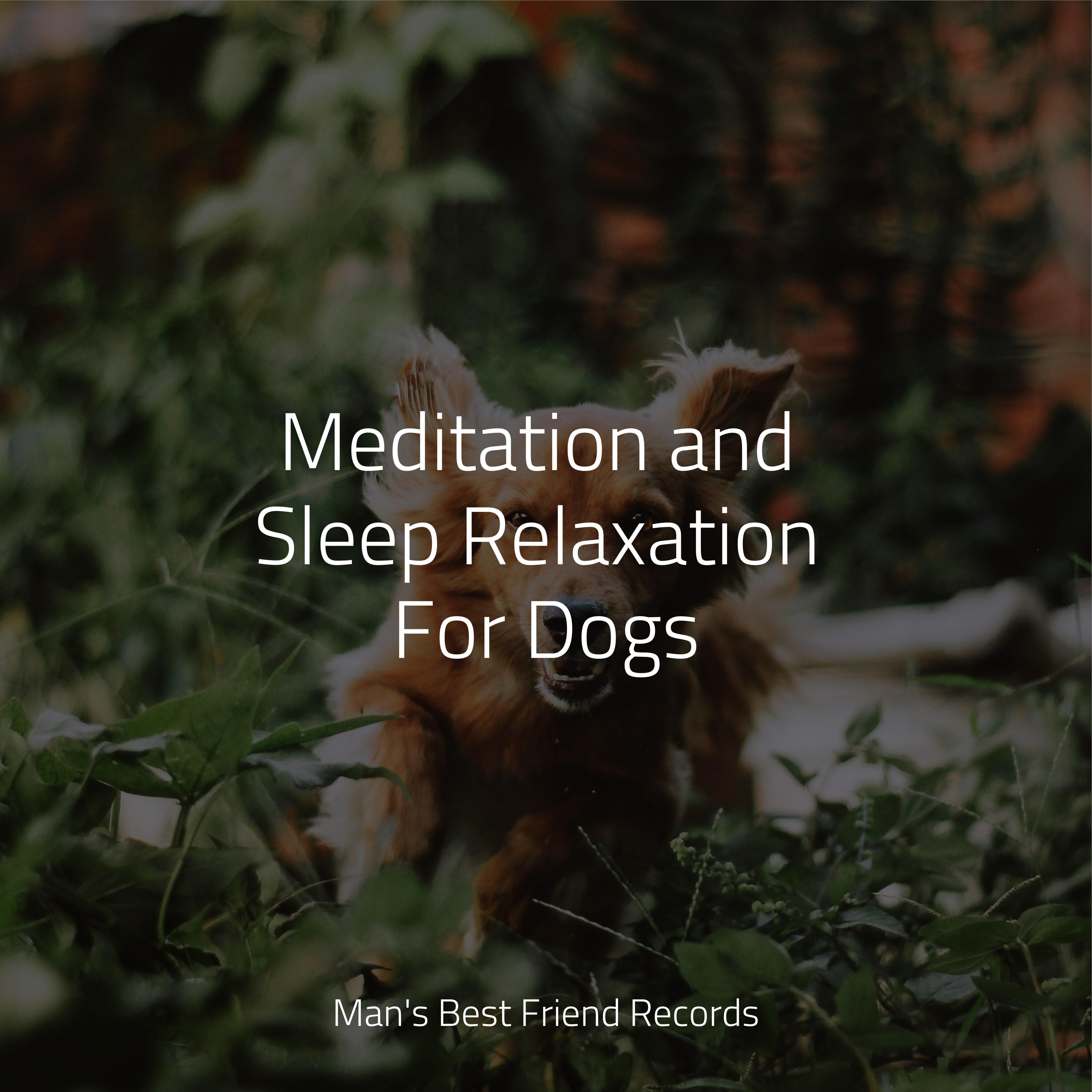 Music For Dogs - Music for Stress Relief