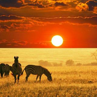 Melodic Progressive Music