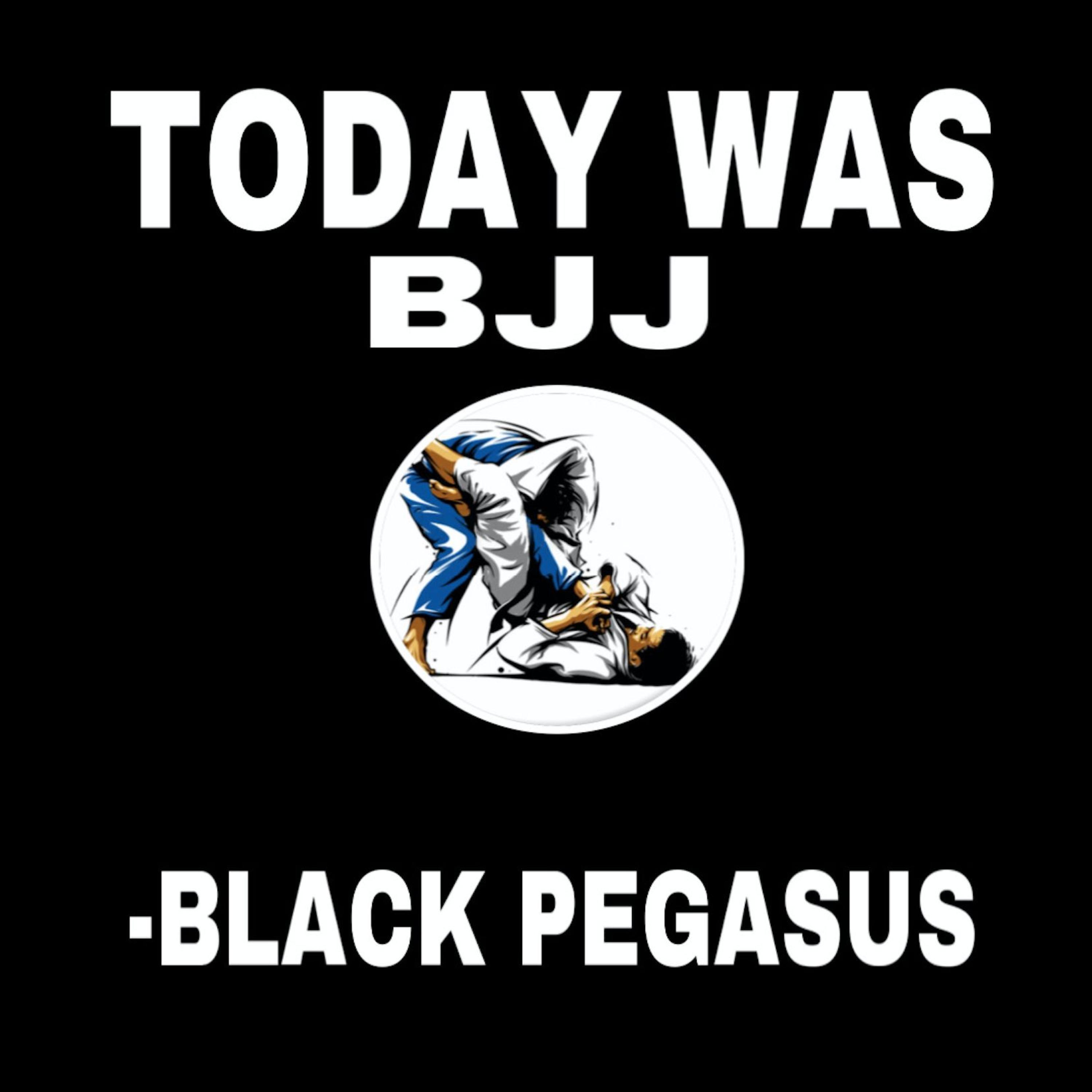 Today Was BJJ