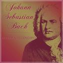 Johann Sebastian Bach - Brandenburg Concerto专辑