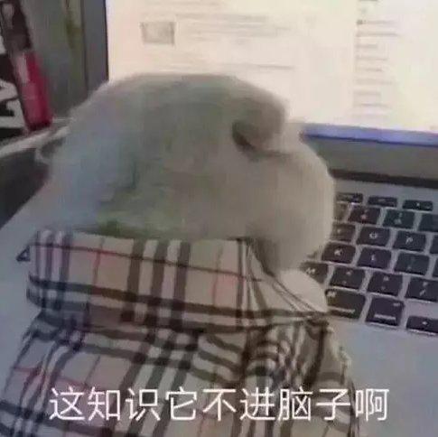 提高学习/工作/睡觉质量的纯音乐（十九）
