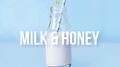 Milk & Honey专辑