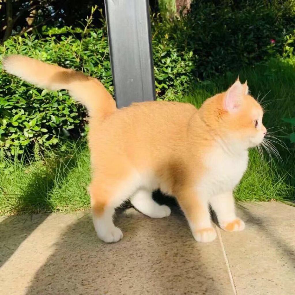 生活太需要这些节奏了 | 在线播放 | 网易云音乐